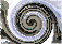 ���C���y�[�W��